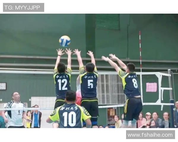 深圳排球队的力量变革引发热议探索新战术与团队协作的未来发展之路