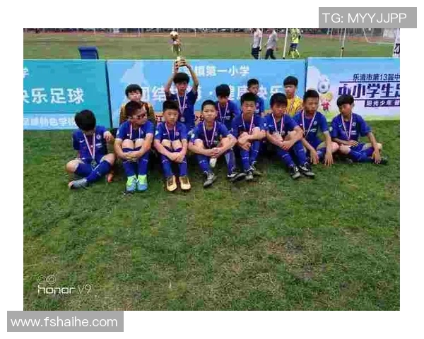 足球纪实：记录上海足球队的奋斗经历